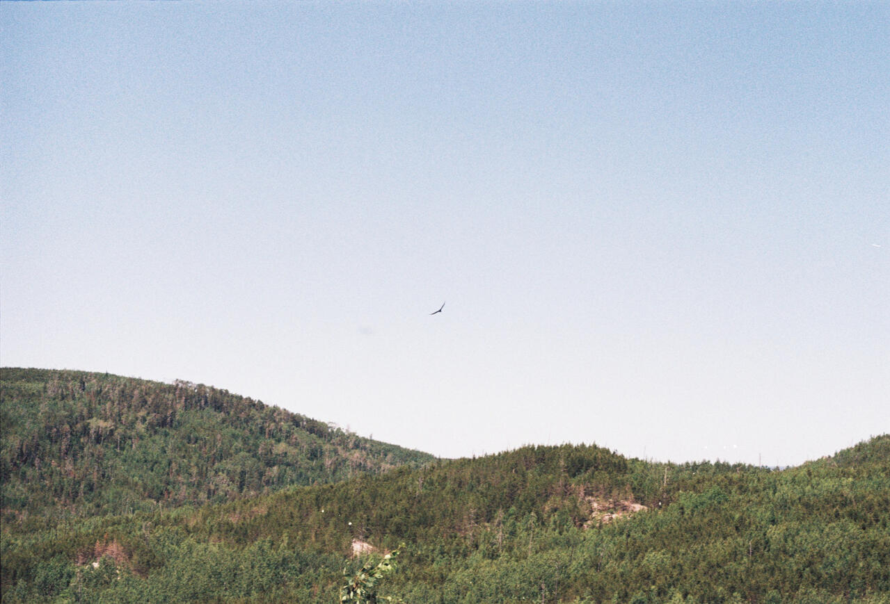 Untitled Untitled