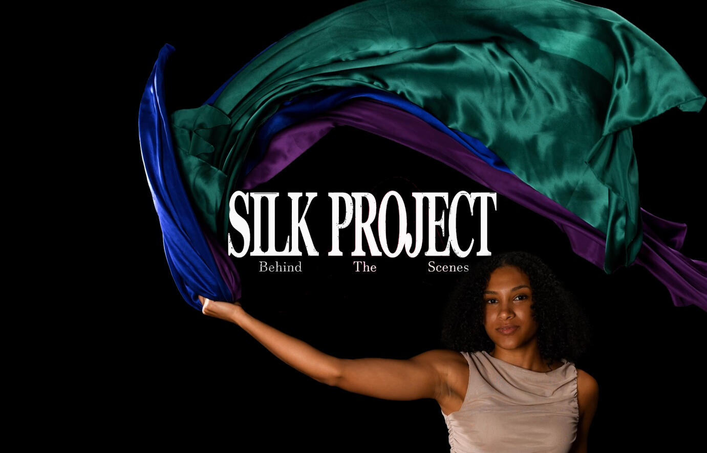 Silk Project - Promo Video